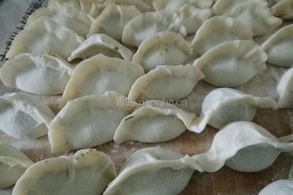 冬至茴香猪肉水饺的做法图解9