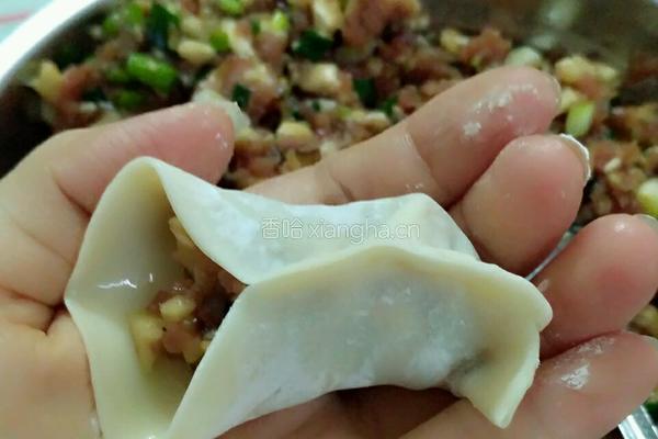 香菇瘦肉饺子的做法图解9