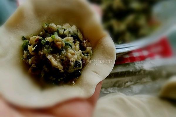 香菇香菜猪肉饺的做法图解9