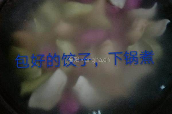 彩色水饺的做法图解13