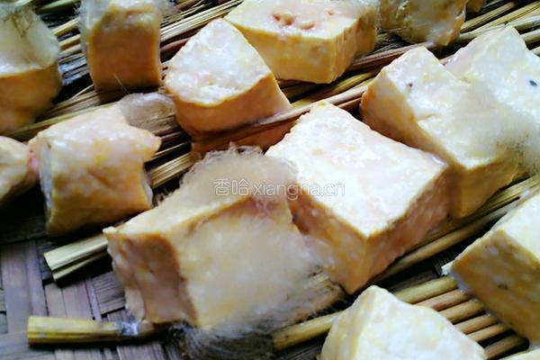 自制霉豆腐的做法图解17