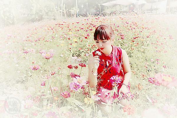 免烤核桃花生QQ糖焦糖布丁的做法图解1