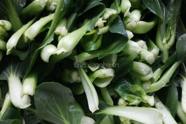 青菜爱上萝卜的做法图解1