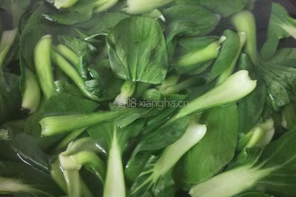 青菜爱上萝卜的做法图解9