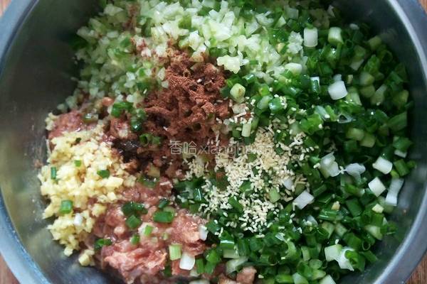 青萝卜猪肉饺子的做法图解5