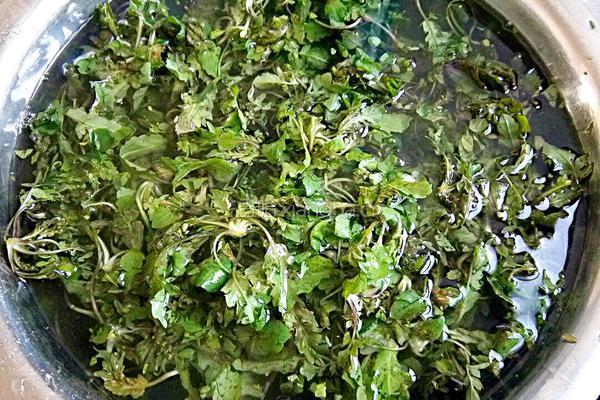 荠菜饺子馅的做法图解1