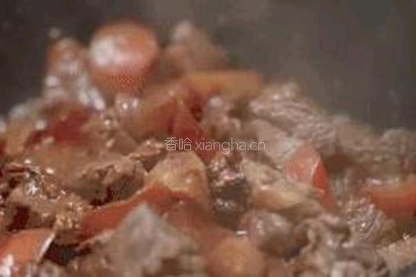 红焖羊肉的做法图解5