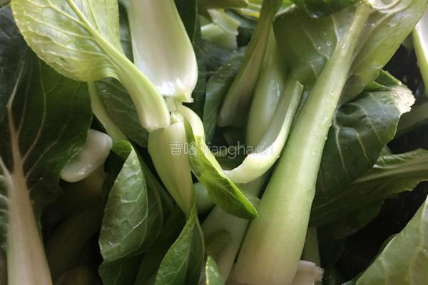 猪油炒青菜的做法图解1