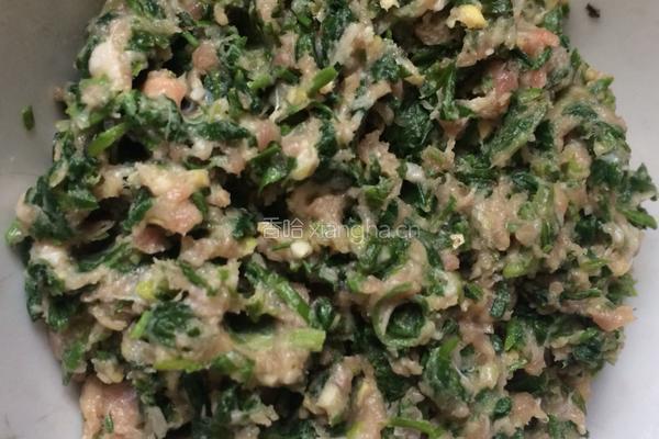 荠菜鲜肉饺的做法图解4