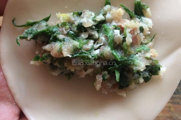 荠菜鲜肉小笼包的做法图解5