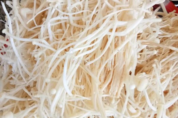 金针蘑炒肉丝的做法图解1