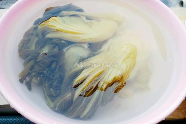 酸菜肉包的做法图解1