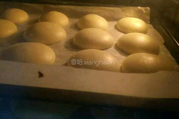 宝宝辅食蛋奶饼的做法图解4