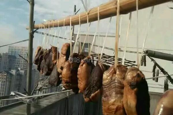 酱油腌肉的做法图解4