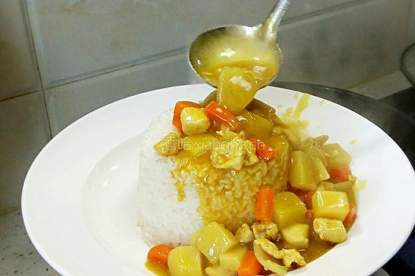 咖喱鸡肉饭的做法图解9