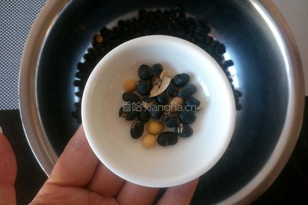 自制豆芽的做法图解2
