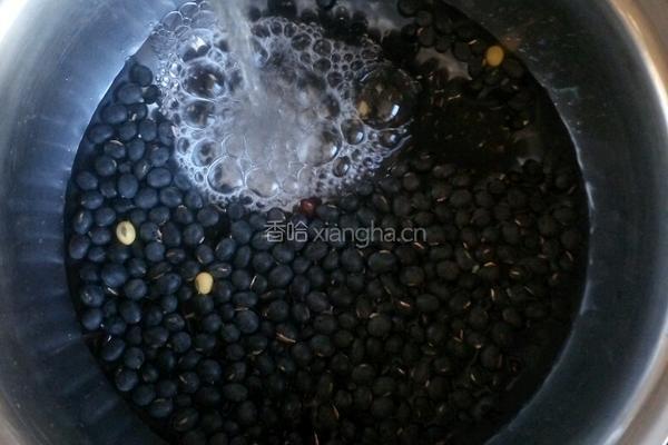 自制豆芽的做法图解3