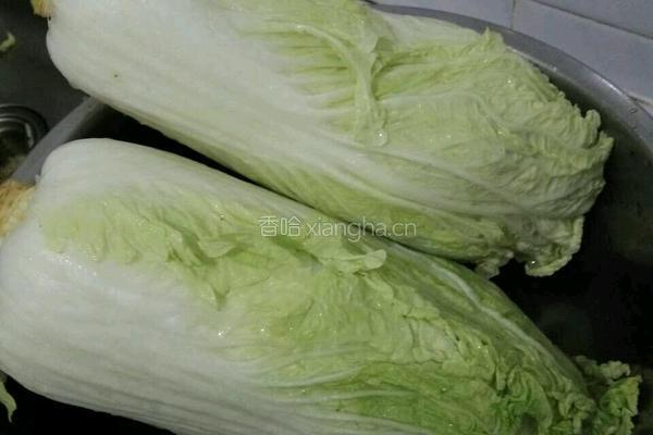 自制辣白菜的做法图解1
