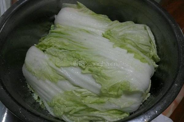 自制辣白菜的做法图解4