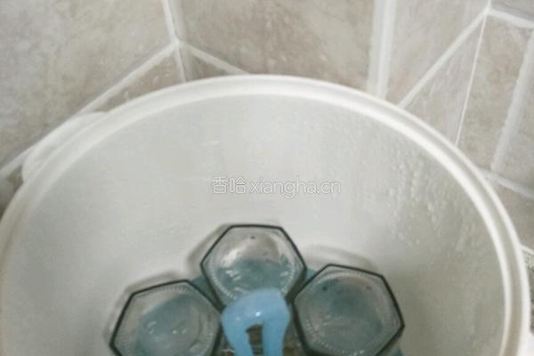 川贝陈皮柠檬膏的做法图解6