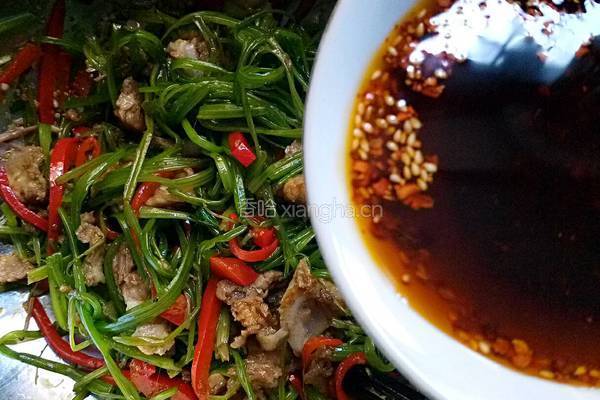凉拌剔骨肉的做法图解15