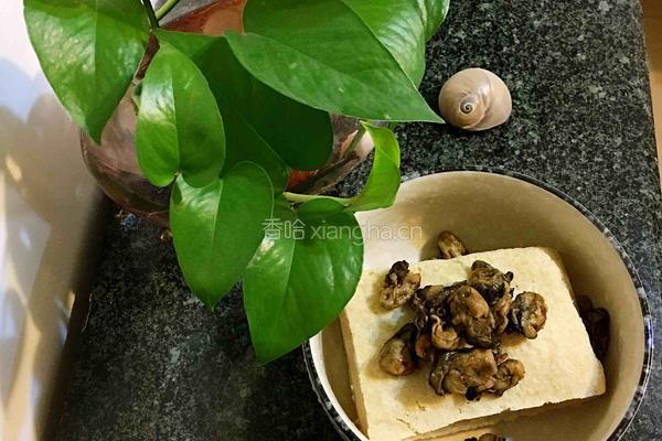 海蛎豆腐汤的做法图解1