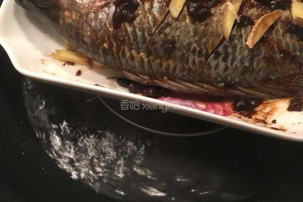 豆豉蒸罗非鱼的做法图解6