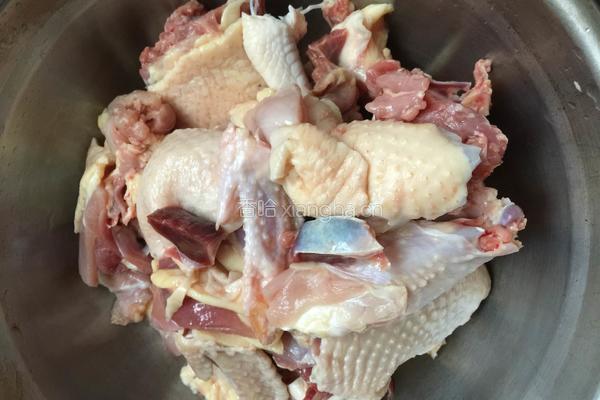 鸡肉炖粉条的做法图解3