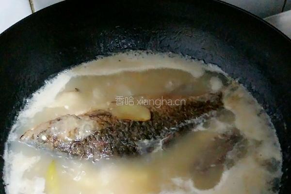 海参鲫鱼汤（下奶）的做法图解5