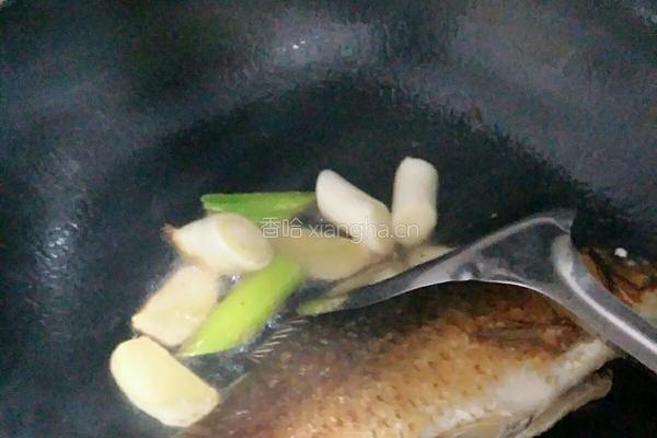海参鲫鱼汤（下奶）的做法图解2
