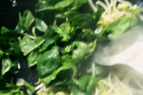 菠菜炒黄豆芽的做法图解5