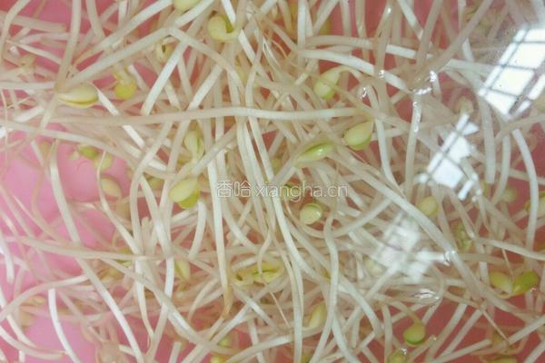 酸萝卜炒豆芽的做法图解4