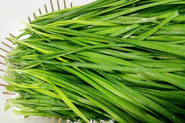韭菜猪肉馅饺子的做法图解2