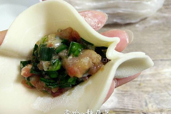 韭菜猪肉馅饺子的做法图解13