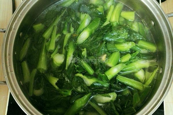 蚝油菜心的做法图解5