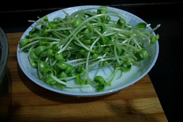 凉拌豆芽海带丝的做法图解2