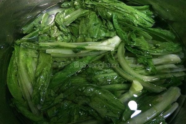 老干妈油麦菜的做法图解5