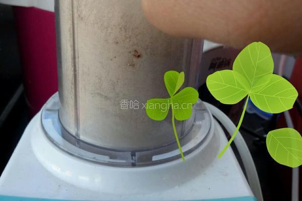 宝宝辅食虾皮粉的做法图解4