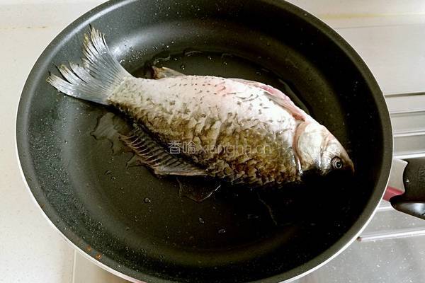 鲫鱼豆腐汤的做法图解3