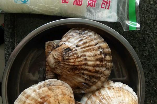 粉丝蒸元贝的做法图解1