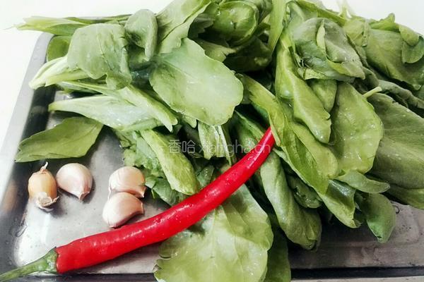 凉拌茼蒿菜的做法图解1
