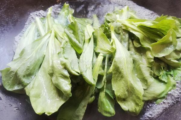 凉拌茼蒿菜的做法图解7