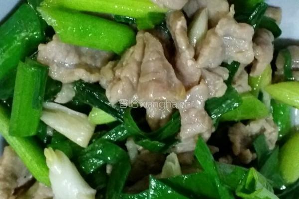 青蒜炒肉的做法图解7