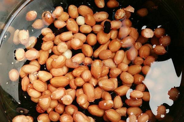 黑豆花生豆浆的做法图解2