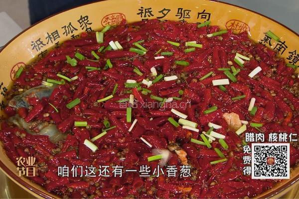 CCTV7食尚大转盘《经典水煮鱼》的做法图解5