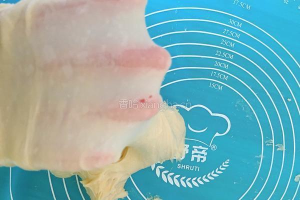 中种吐司的做法图解5