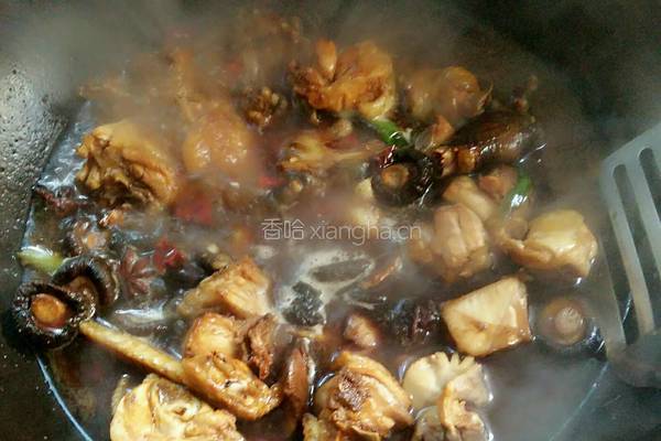 香菇炖鸡的做法图解9