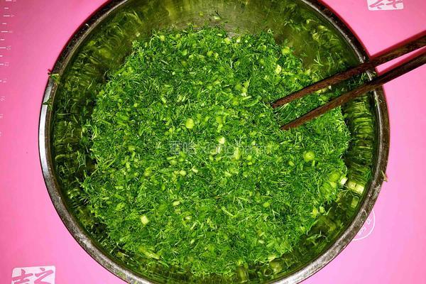 茴香鲜肉馅饺子的做法图解5
