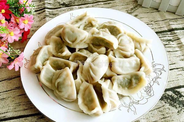 茴香鲜肉馅饺子的做法图解24