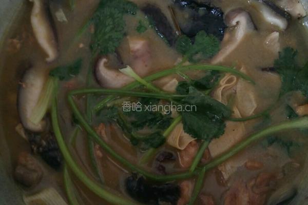 焖鸡肉的做法图解9